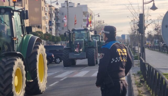 entrada_a_Madrid_cortada.jpg
