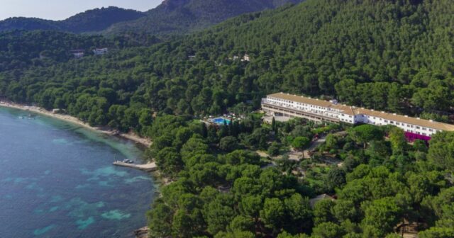 Four_Seasons_tala_200_pinos_para_construir_hotel_en_pollensa_mallorca.jpg