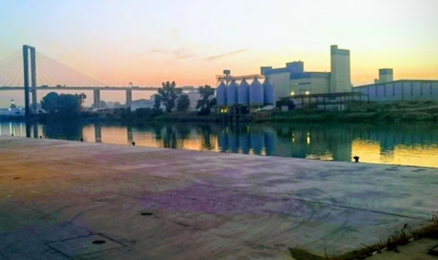 Fallece un trabajador al caer del techo de una nave en el puerto de Sevilla