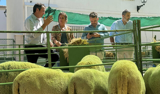 El_Gobierno_Andaluz_Resalta_la_Importancia_de_la_Ganaderia_Extensiva_para_un_Desarrollo_Sostenible_del_Territorio.jpg