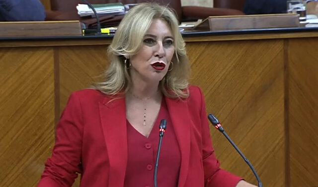 Avanza_la_nueva_Ley_del_Patrimonio_en_el_Parlamento_andaluz_para_modernizar_la_gestion_de_bienes_publicos.jpg