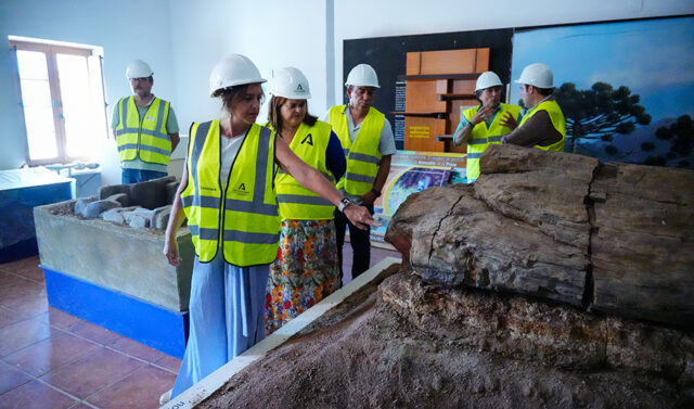 La_Junta_de_Andalucia_destina_68_millones_de_euros_a_mejorar_caminos_y_vias_pecuarias_en_Sierra_Morena.jpg