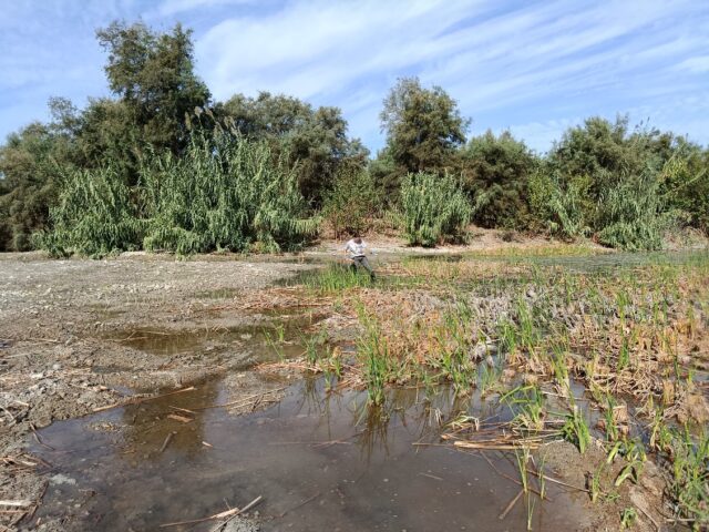 La_Laguna_de_Fuente_del_Rey_sirve_como_laboratorio_para_un_estudio_de_biodiversidad_acuatica_de_la_Universidad_de_Sevilla.jpg