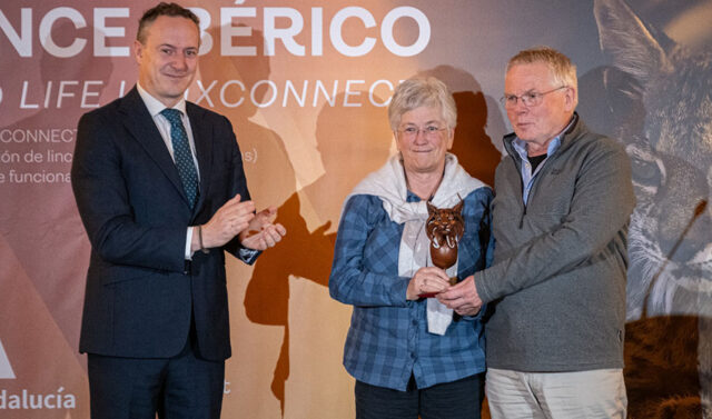 La_Junta_de_Andalucia_celebra_los_Premios_LIFE_Lynxconnect_2025_destacando_la_conservacion_del_lince_iberico.jpg