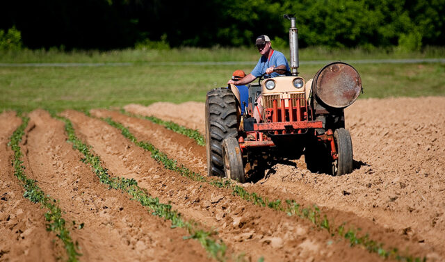 La_Junta_de_Andalucia_destina_casi_310_millones_de_euros_en_ayudas_de_la_PAC_a_mas_de_194.000_agricultores.jpg