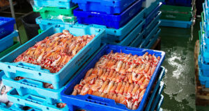 La Junta de Andalucía invierte 5 millones en impulsar la transición verde de la industria pesquera y acuícola