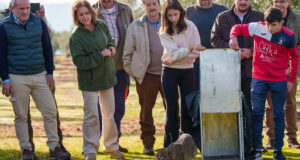 La lince ibérico Kai regresa a su hábitat natural tras ser rehabilitada en el CREA de los Villares