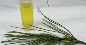 Andalucía desarrolla un innovador nanosensor para la detección de biomarcadores clave en enfermedades neurodegenerativas