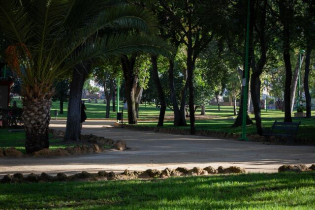 Dos_Hermanas_impulsa_un_ambicioso_Plan_de_Biosombra_para_plantar_600_arboles_en_la_ciudad.jpg