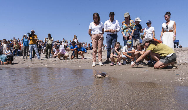 Andalucia_avanza_en_la_proteccion_de_la_tortuga_boba_con_la_liberacion_de_27_ejemplares_en_Mojacar.jpg