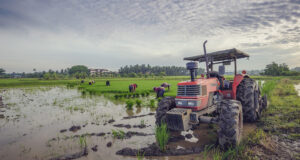 La Junta de Andalucía solicita al Gobierno una reducción del 35% en IRPF para producciones agrícolas en 2025