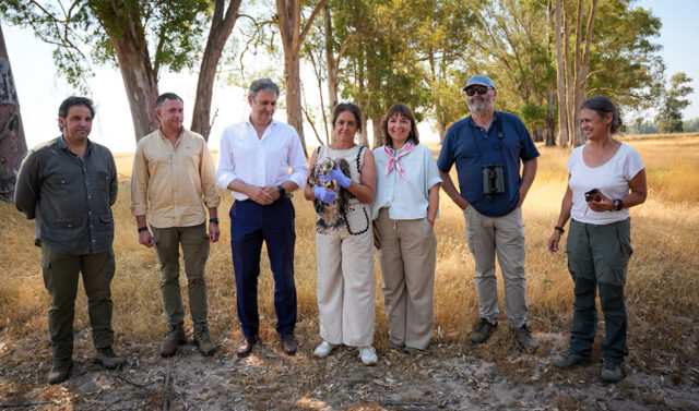 La_Junta_de_Andalucia_y_Fundacion_Endesa_impulsan_la_conservacion_del_aguila_imperial_y_el_milano_real_en_Donana.jpg