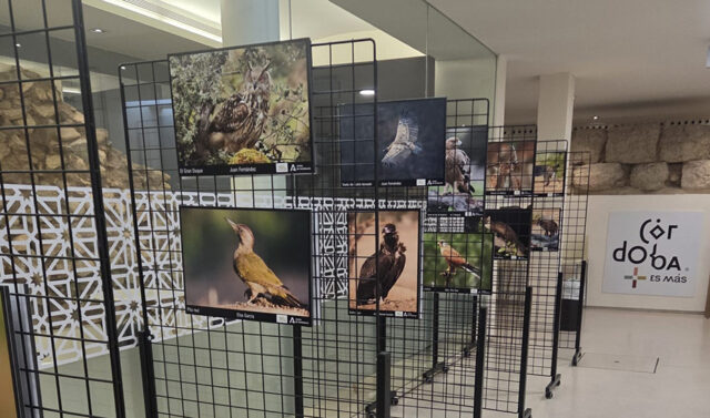 La_exposicion_Sierra_Morena_Observada_destaca_la_rica_diversidad_biologica_de_la_region.jpg