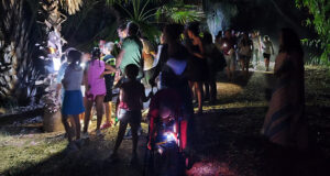 Actividades Nocturnas de Verano en los Parques de Sevilla y Cádiz