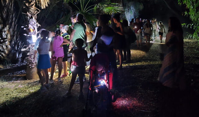 Actividades_Nocturnas_de_Verano_en_los_Parques_de_Sevilla_y_Cadiz.jpg