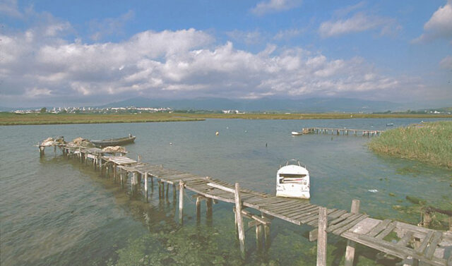 La_Junta_asigna_casi_24_millones_de_euros_para_la_renaturalizacion_del_rio_Palmones_en_Los_Barrios.jpg