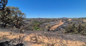 La Junta de Andalucía solicita medidas urgentes al Estado para mitigar el impacto del incendio en Huelva