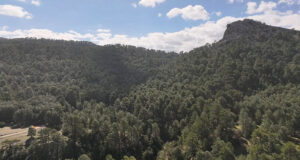 Se Publica el Primer Registro de Montes Públicos de Andalucía Resultante de la Nueva Ley de Montes