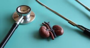 La luz pone en marcha un circuito para detectar antes la enfermedad renal crónica en pacientes de riesgo