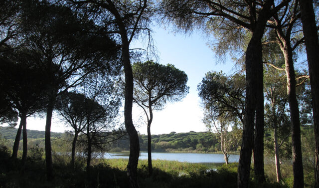 Andalucia_impulsa_la_modernizacion_de_su_legislacion_ambiental_en_el_siglo_XXI.jpg