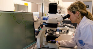 Investigadores de la Universidad de Almería desarrollan biomasa a la medida a partir de microalgas para el tratamiento de aguas residuales