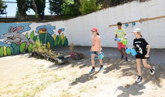 La_Junta_de_Andalucia_implementa_133_escuelas_de_verano_para_6.500_menores_en_situaciones_vulnerables.jpg