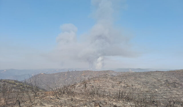 La_Junta_de_Andalucia_solicita_declaracion_de_desastre_natural_por_el_incendio_en_Niebla.jpg