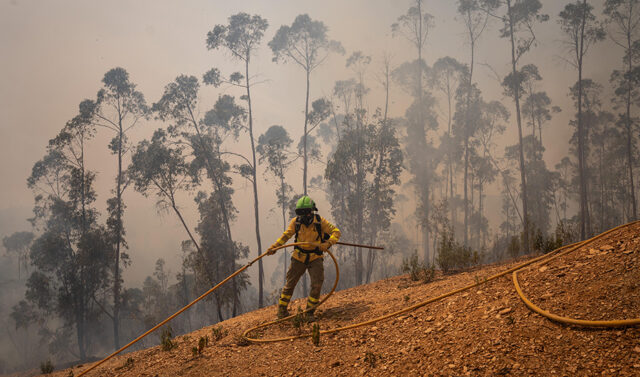 Un_incendio_forestal_en_Niebla_ha_arrasado_33.000_hectareas_informa_la_Junta_de_Andalucia.jpg