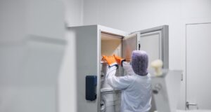 La vitrificación de óvulos ofrece tasas de supervivencia superiores al 95%