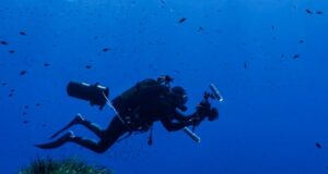 Bluewave Alliance lleva la ciencia al Banco Talbot para documentar su biodiversidad marina