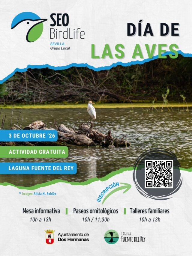 Celebracion_del_Dia_Mundial_de_las_Aves_en_la_Laguna_de_Fuente_del_Rey_con_Actividades_Gratuitas_para_la_Familia.jpg