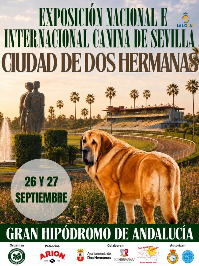 Dos_Hermanas_sera_sede_del_circuito_oficial_de_exposiciones_caninas_en_septiembre.jpeg