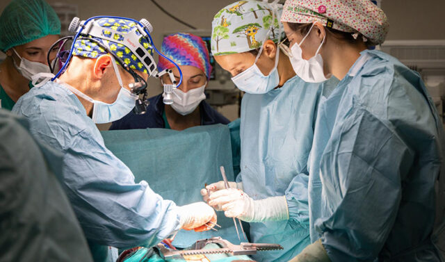 El_Hospital_Regional_de_Malaga_Realiza_Nueve_Trasplantes_de_Organos_en_Tres_Dias.jpg