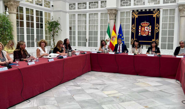 La_Junta_de_Andalucia_reprocha_la_actitud_decepcionante_del_Gobierno_central_en_el_Comite_de_Violencia_Machista.jpg