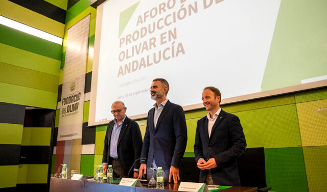 La_produccion_de_aceite_de_oliva_en_la_campana_202627_se_preve_en_1.261.200_toneladas_un_aumento_significativo.jpg