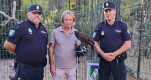 La Policía Nacional Adscrita rescata un águila de Harris y abre una investigación por maltrato animal