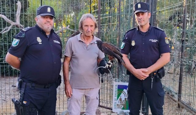 La_Policia_Nacional_Adscrita_rescata_un_aguila_de_Harris_y_abre_una_investigacion_por_maltrato_animal.jpg